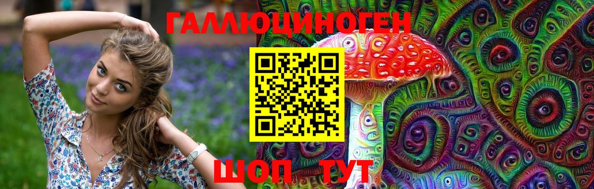 Галлюциногенные грибы Cubensis  Вход с VPN  Советская Гавань 