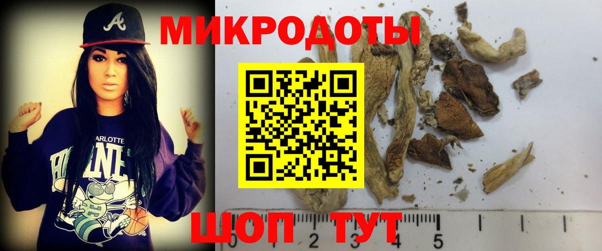 Псилоцибиновые грибы мицелий Советская Гавань